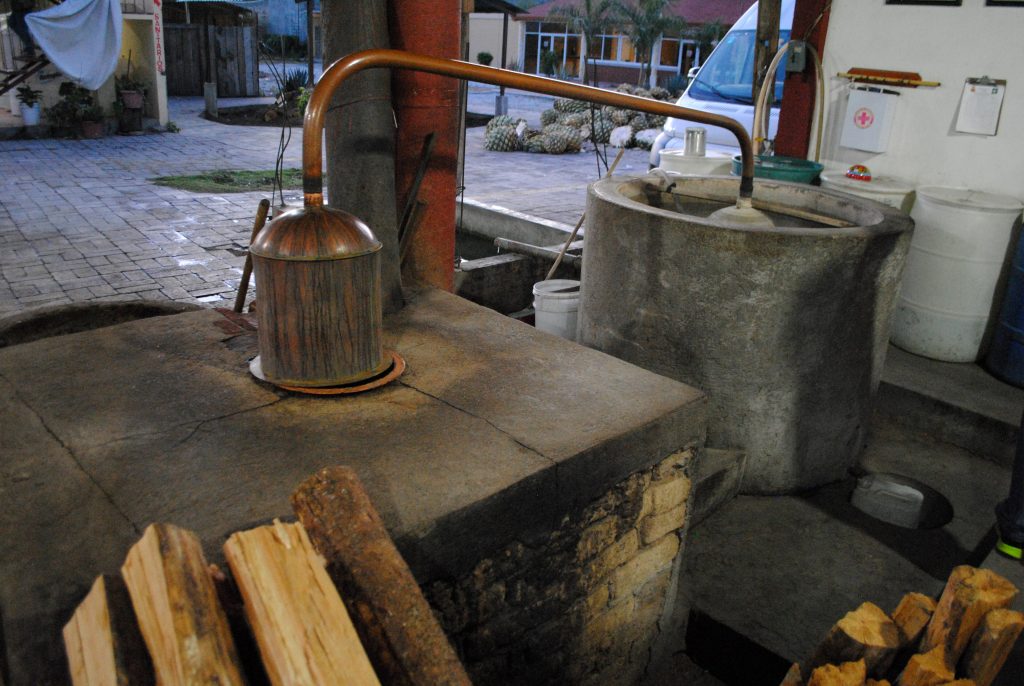 Con productores de mezcal en la Mixteca